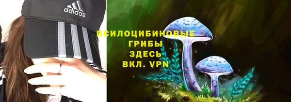амф Белокуриха