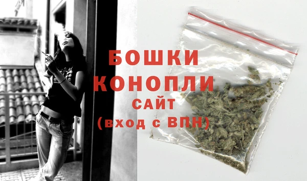 ГАЛЛЮЦИНОГЕННЫЕ ГРИБЫ Белоозёрский