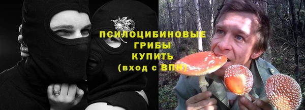 амф Белокуриха