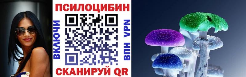 Псилоцибиновые грибы прущие грибы  Козельск 